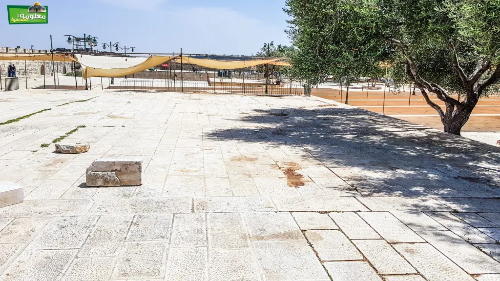 المصطبة الكبرى الشرقية \ مصطبة الساحة  الشرقية