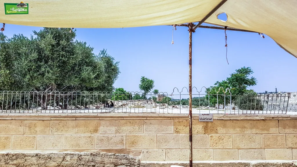 المصطبة الكبرى الشرقية \ مصطبة الساحة  الشرقية
