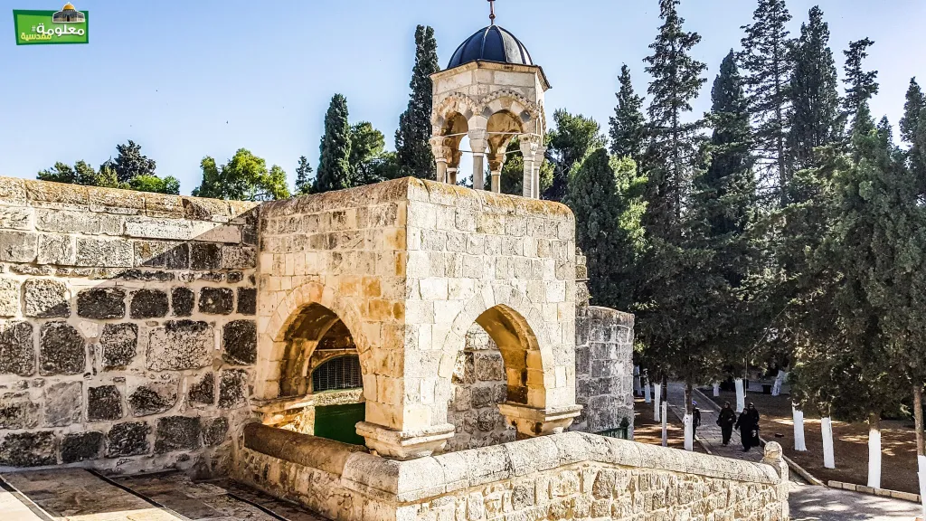 زاوية الخضر