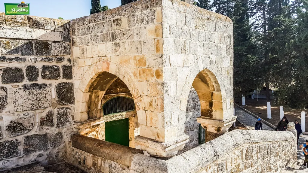 زاوية الخضر