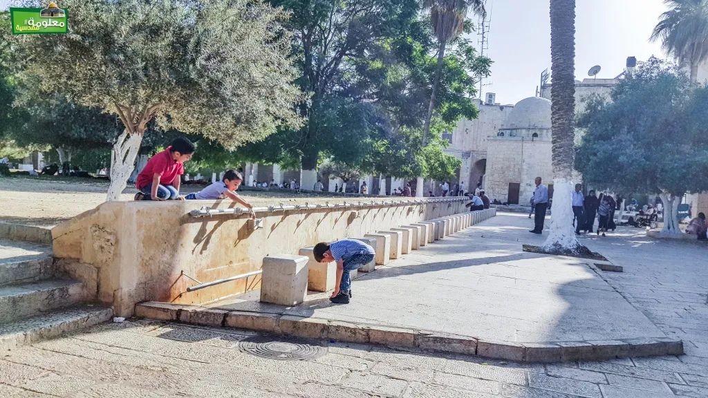 Southern of Al-Nahawya school spring