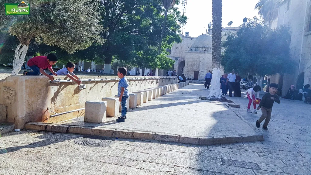 Southern of Al-Nahawya school spring