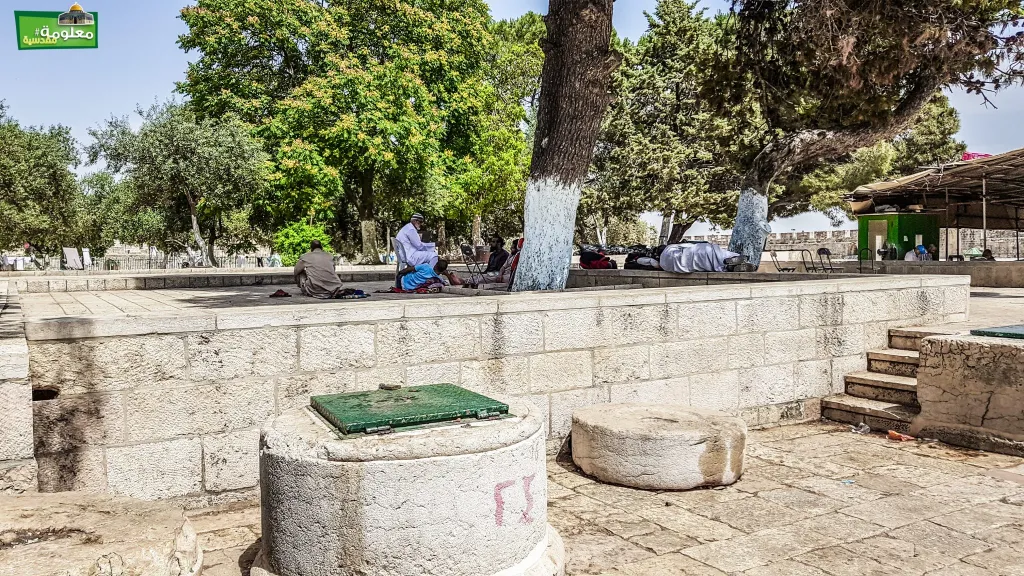 مصطبة بوابة المرواني الغربية