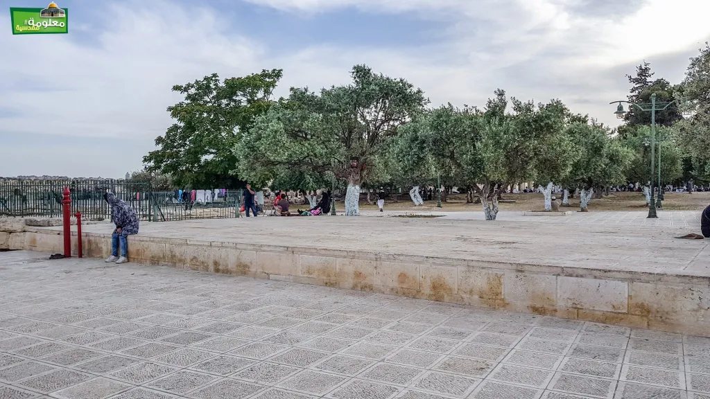 Western Marwani Gate Terrace
