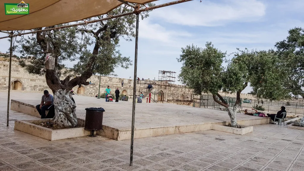 Western Marwani Gate Terrace