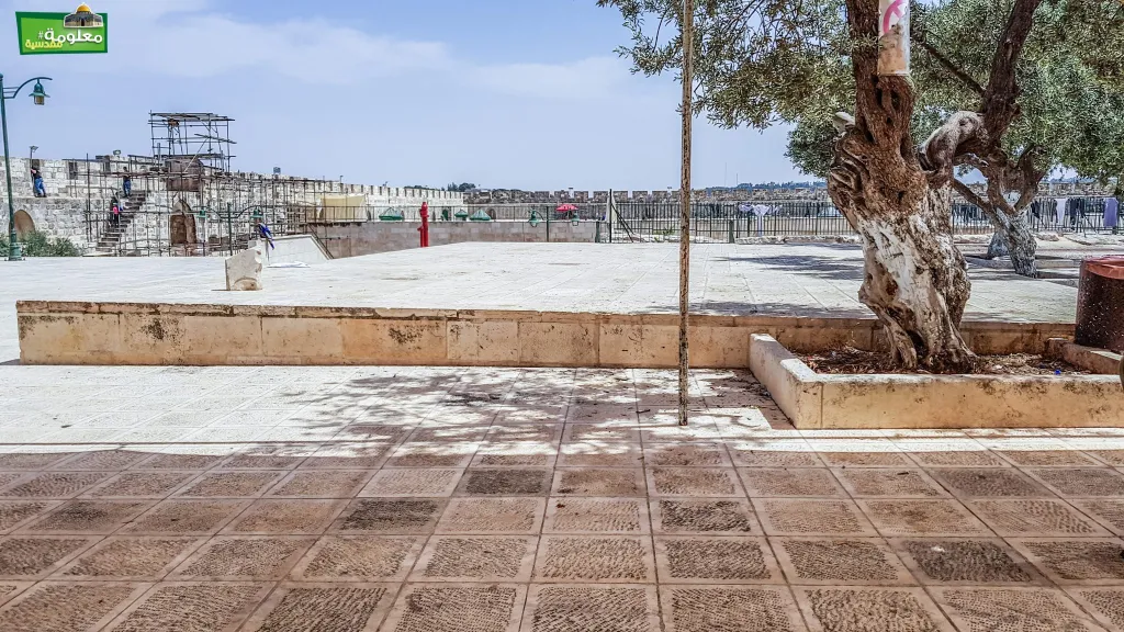 Western Marwani Gate Terrace