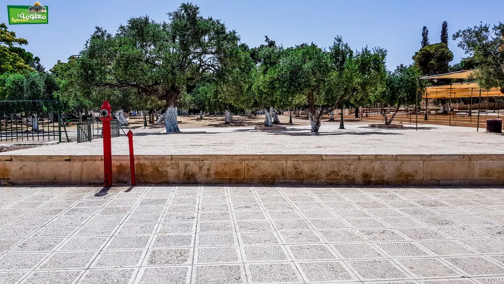 Western Marwani Gate Terrace