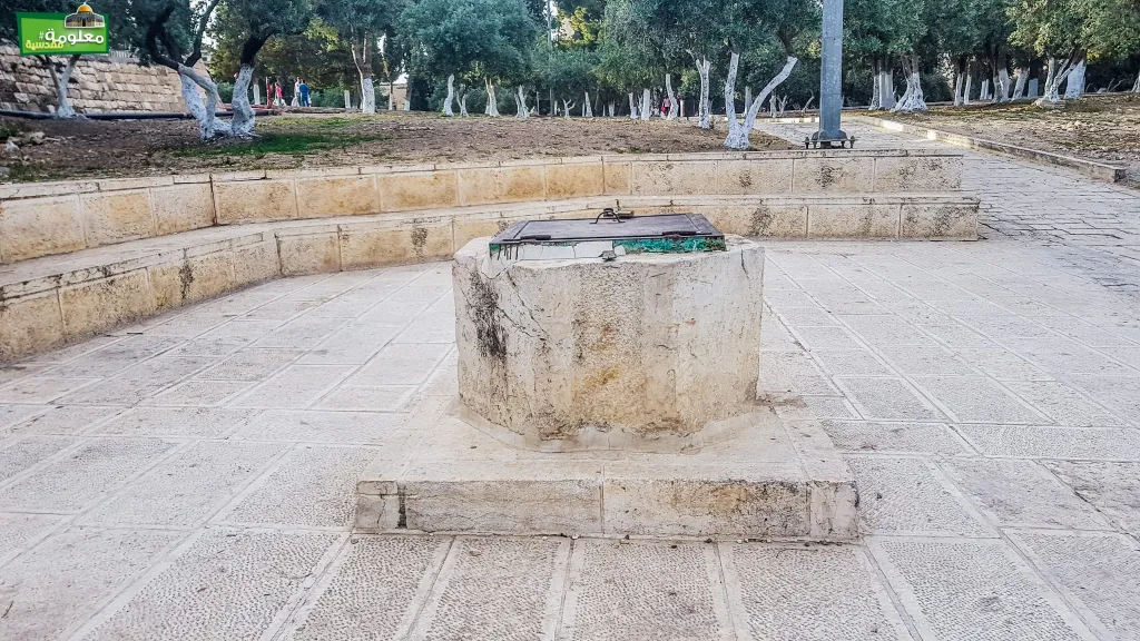بئر غربي باب التوبة