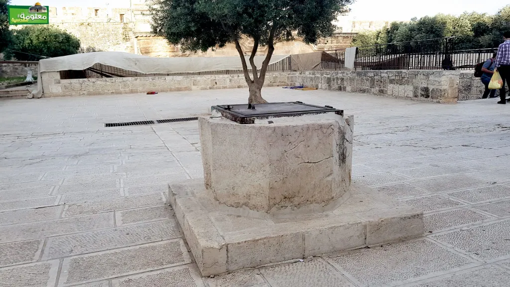 بئر غربي باب التوبة