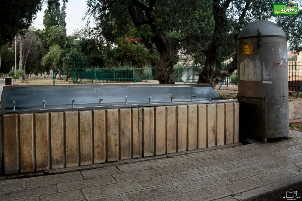Bab Al-Rahma Spring 