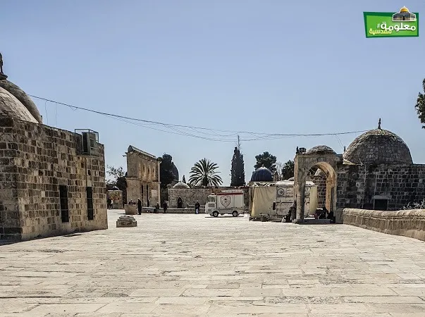 محراب أرضي