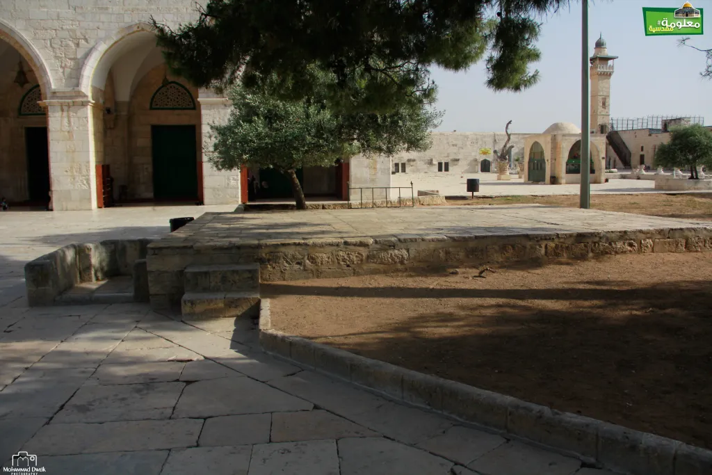 The Mihrab of the Flower Terrace