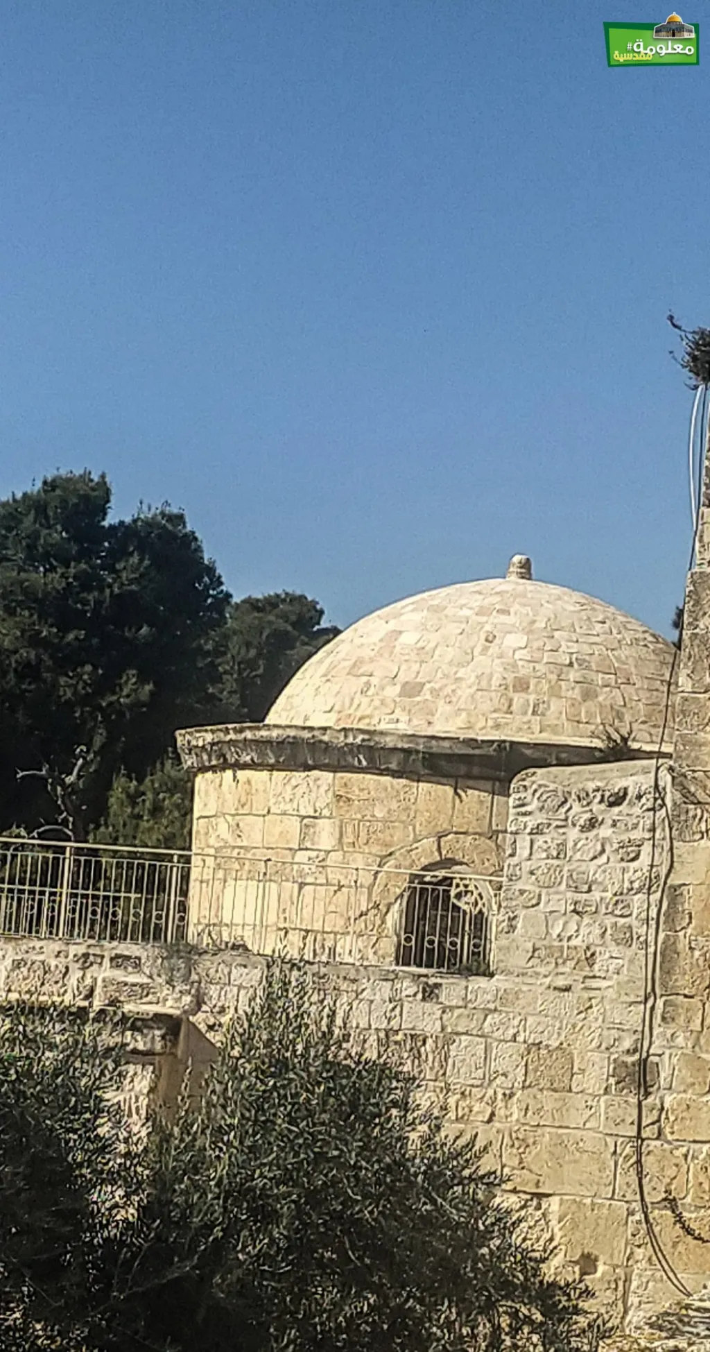 الزاوية الغزالية