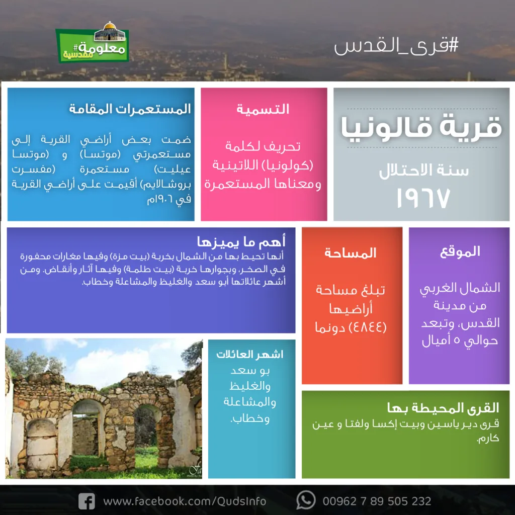 قرية قالونيا