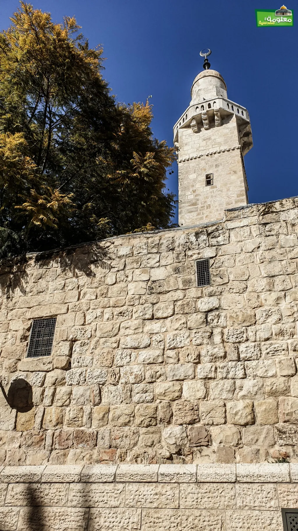 The Great Omari Mosque