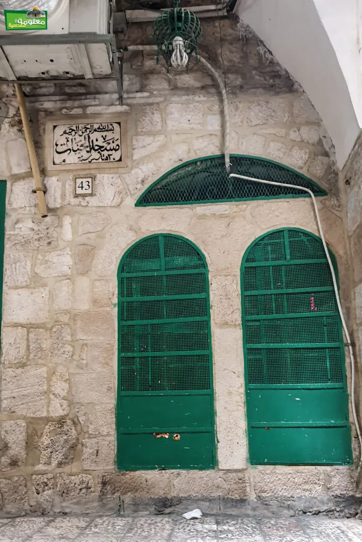 مسجد الحيات