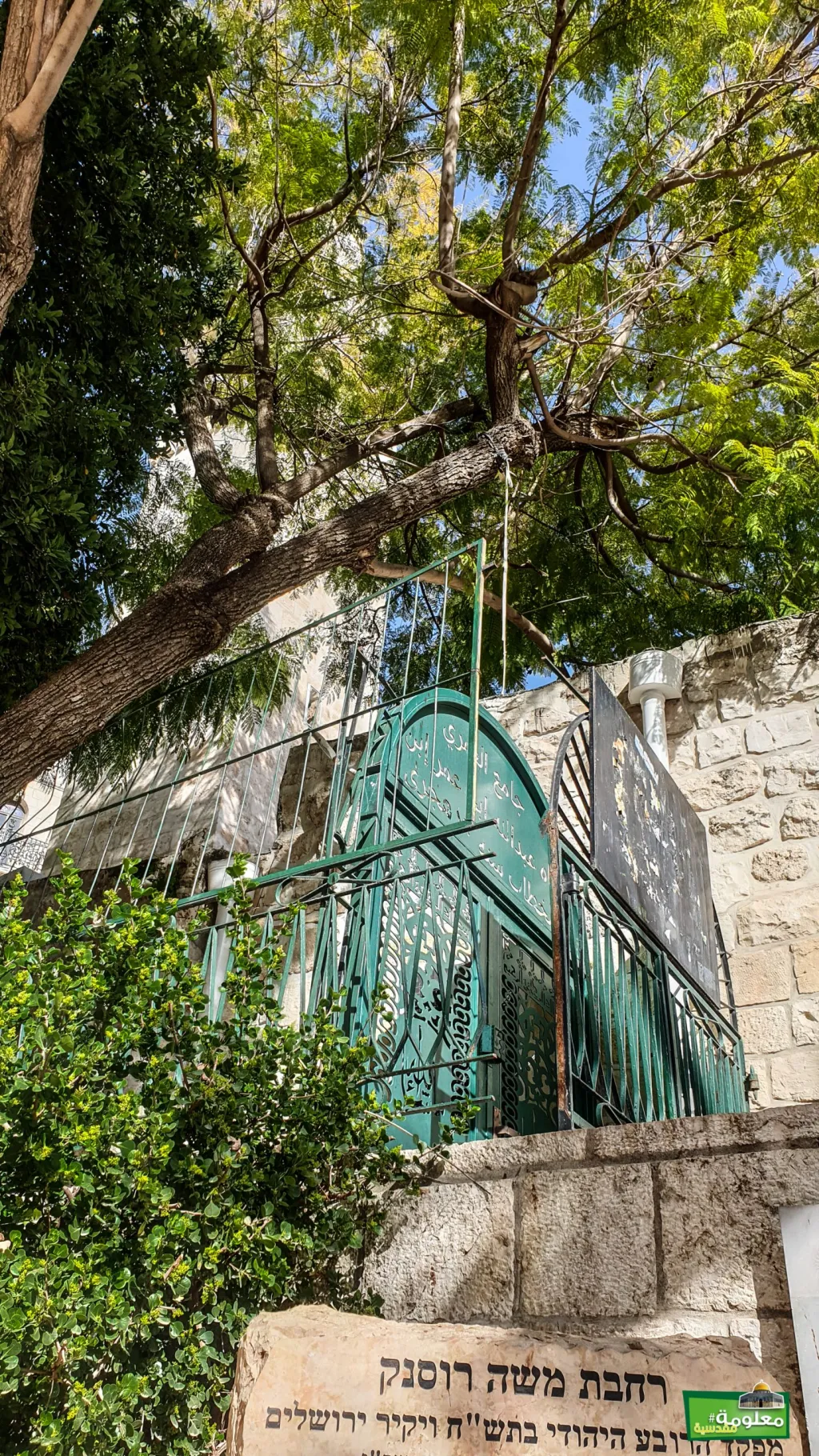 The Great Omari Mosque