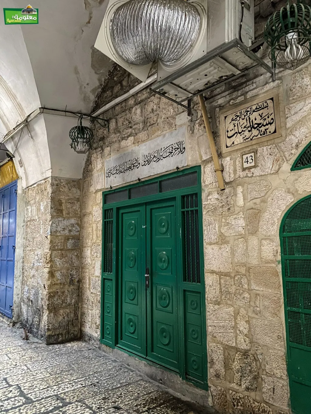 مسجد الحيات