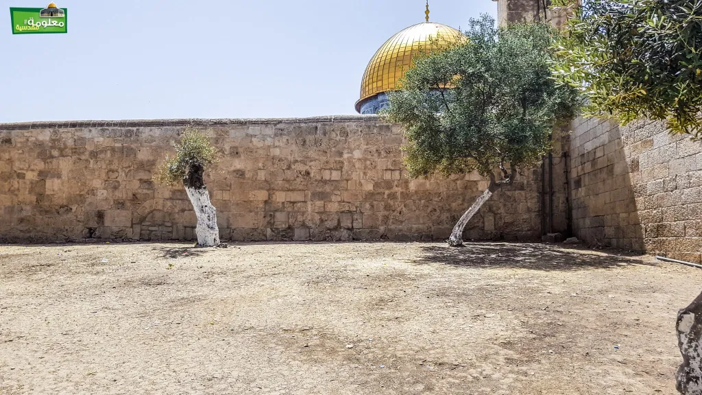 Al-bstamia and Al-smadia Corner