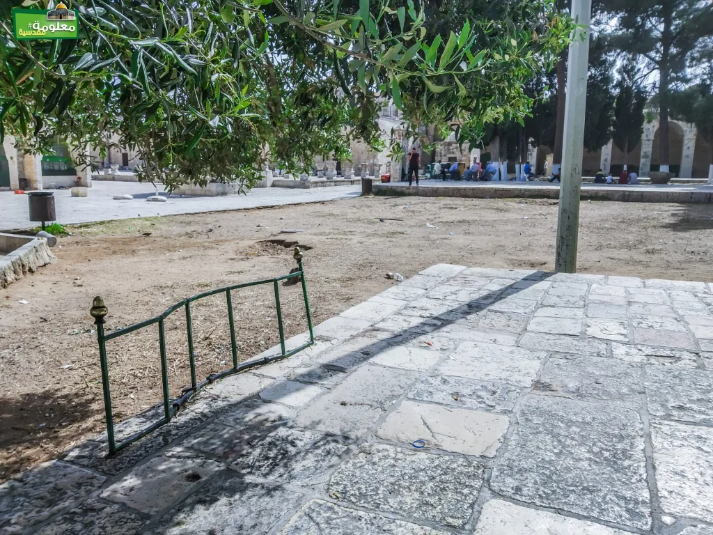 مصطبة الزهور