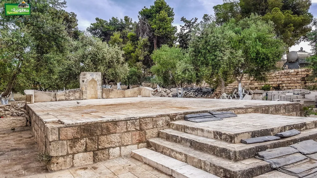 Eastern Olive Terrace