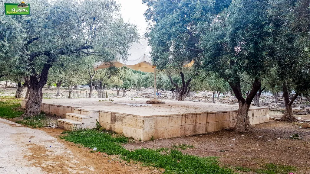 Al - Ghazali Terrace
