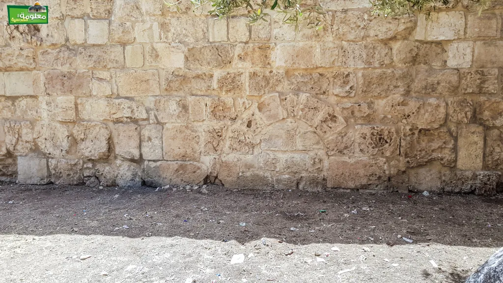 الزاوية الصمادية والبسطامية