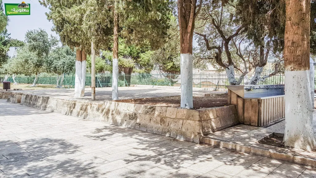 The Eastern Terrace of the Eastern Solitude Building