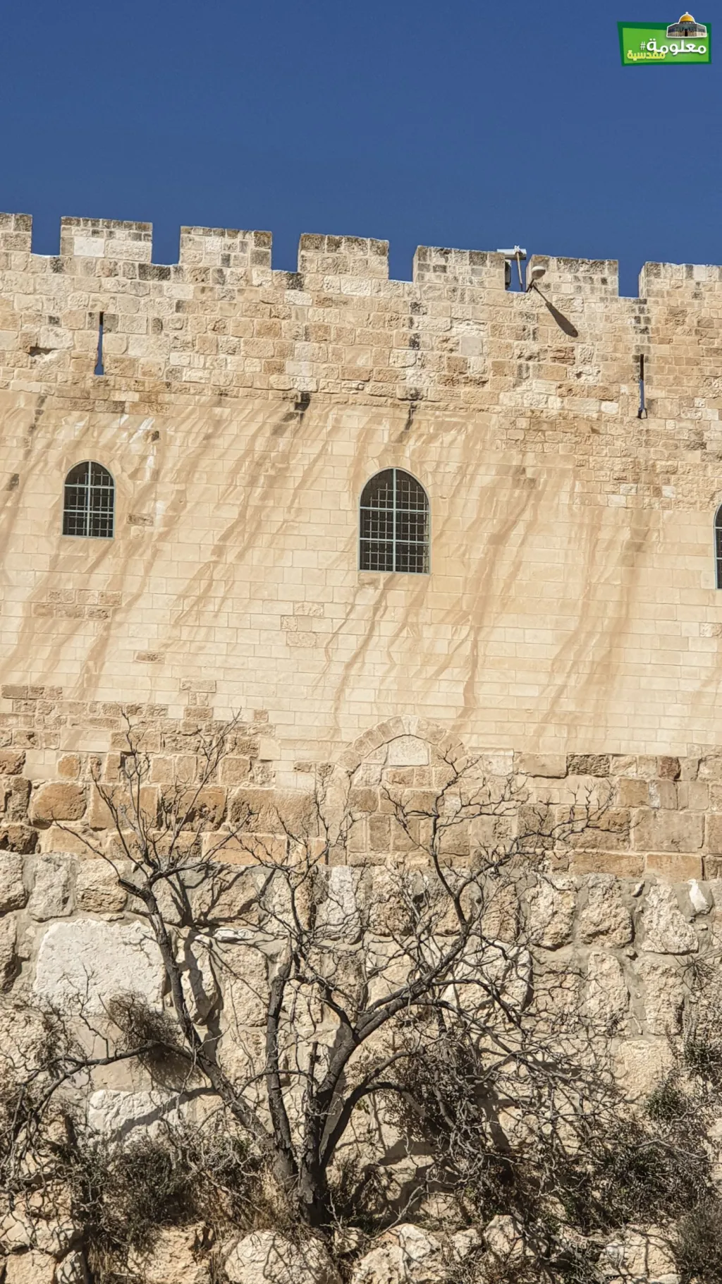 باب المزدوج / باب النبي