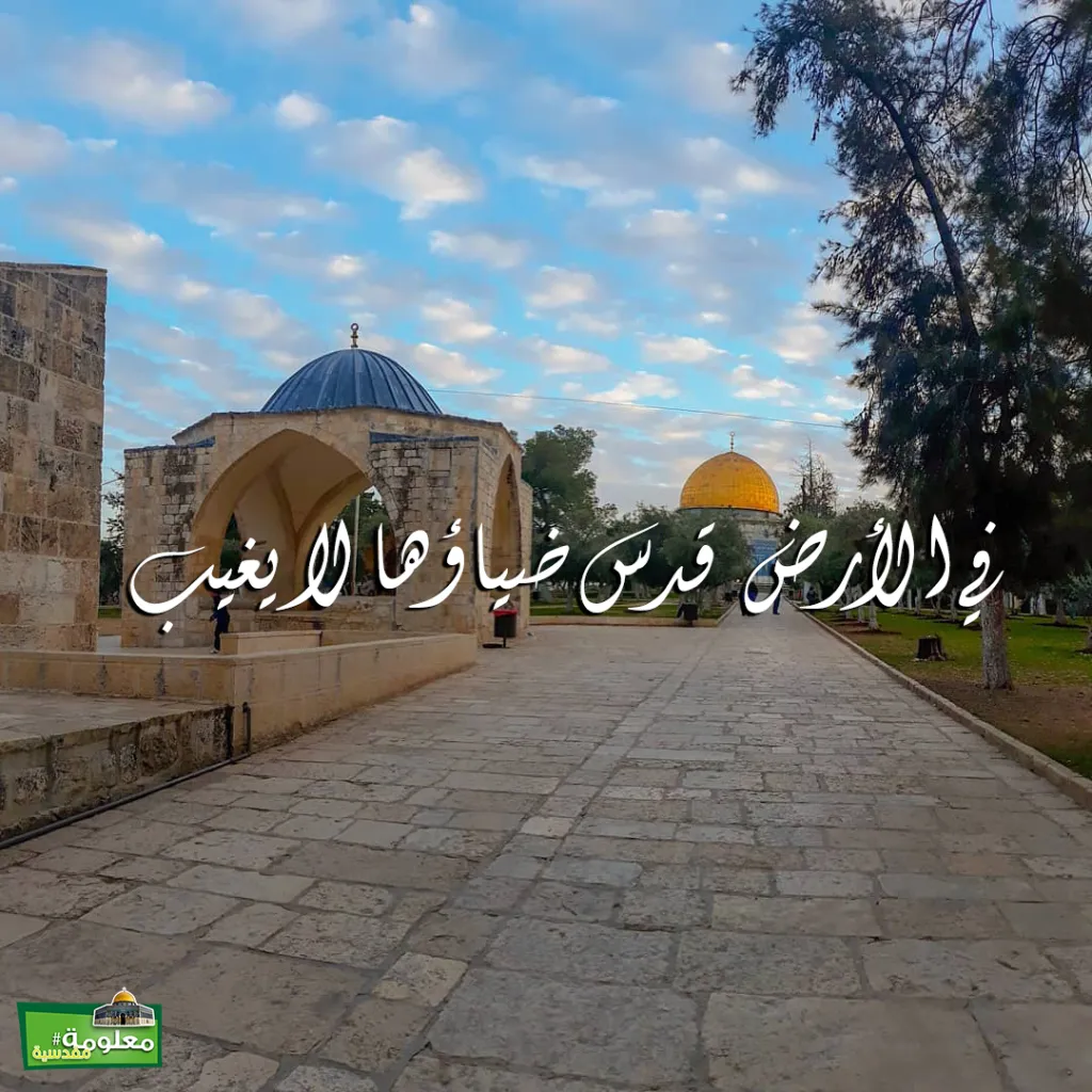 في الأرض قدس ضياؤها لا يغيب