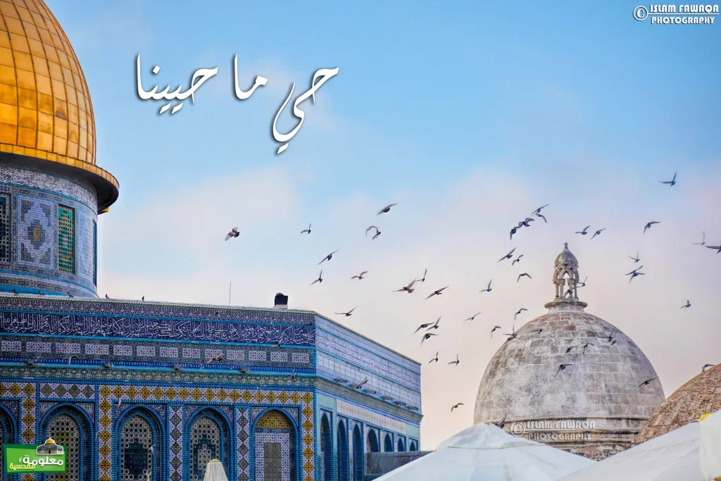 حي ما حيينا