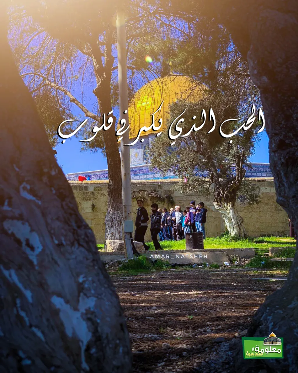 الحب الذي يكبر في القلوب