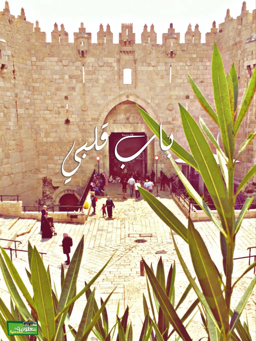 باب قلبي