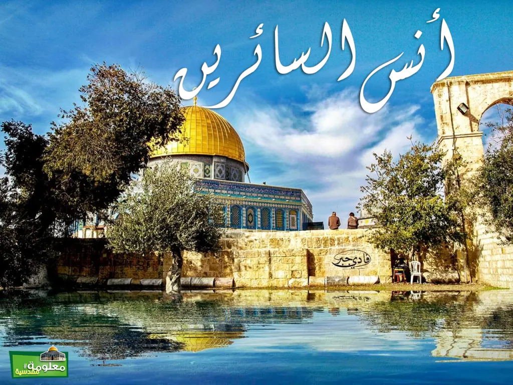 أنس السائرين