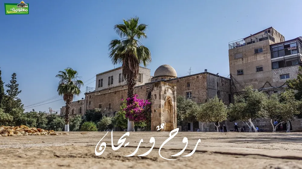 روحٌ وريحان