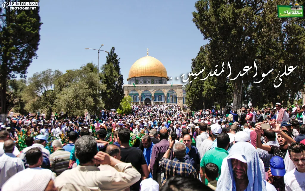 على سواعد المقدسيين