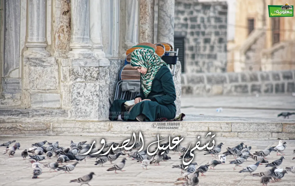 تشفي عليل الصدور