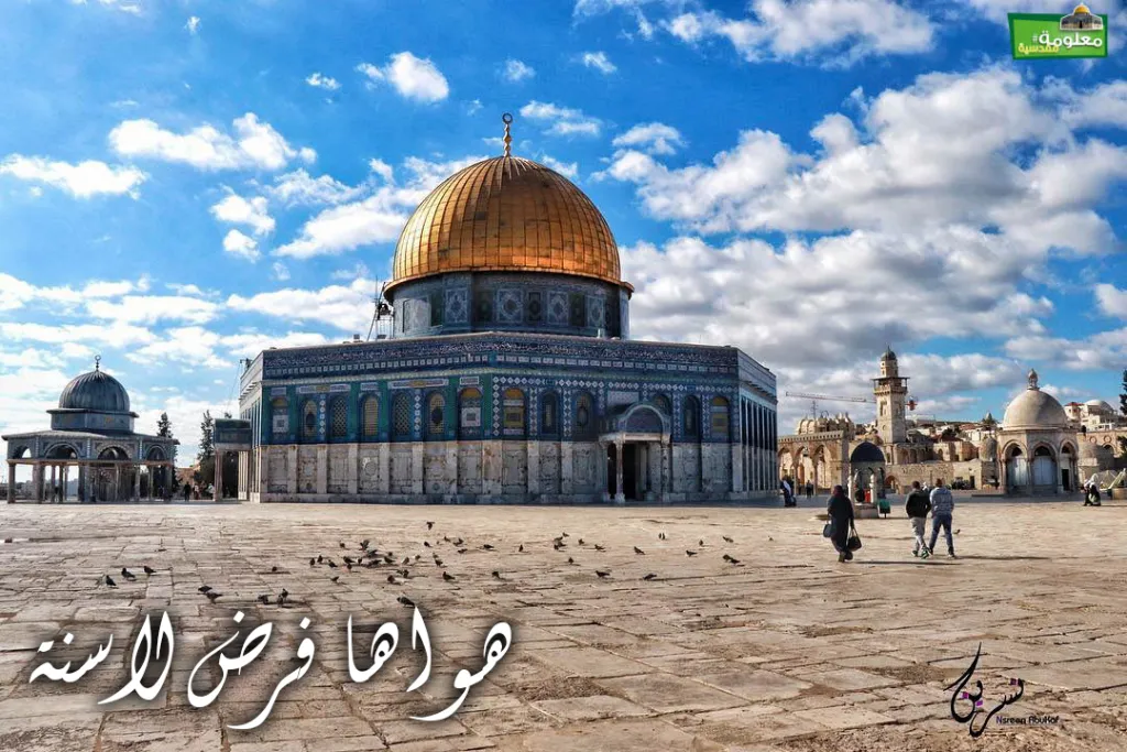 هواها فرض لا سنة