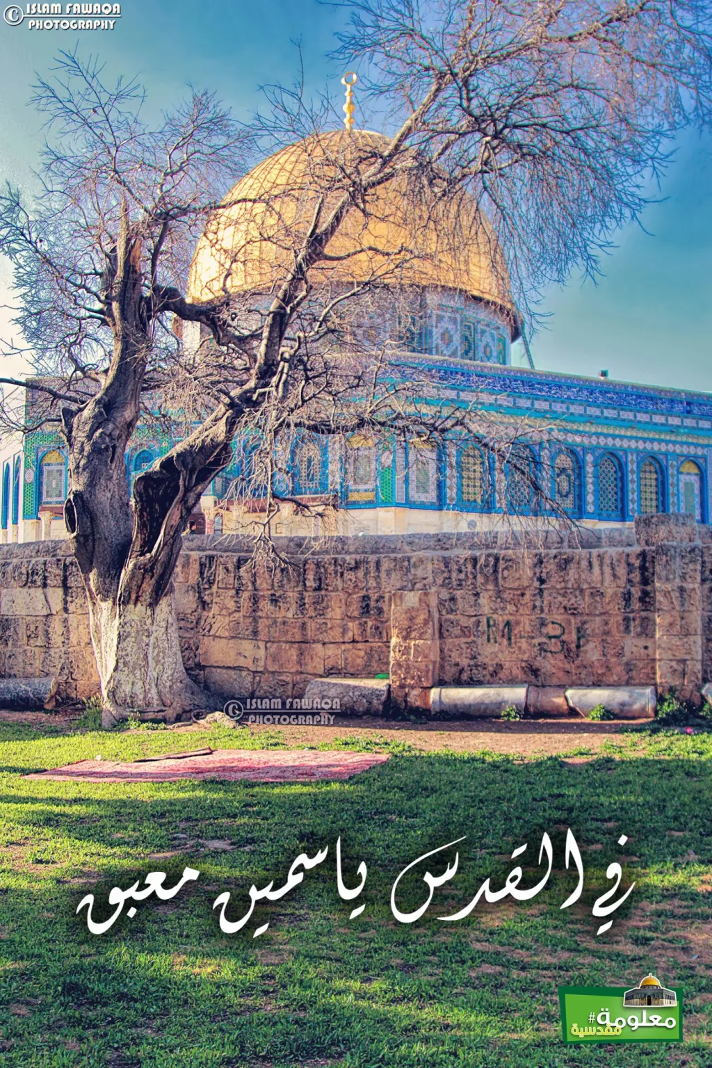 في القدس ياسمين معبق