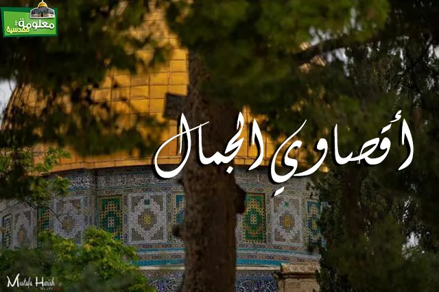 أقصاوي الجمال