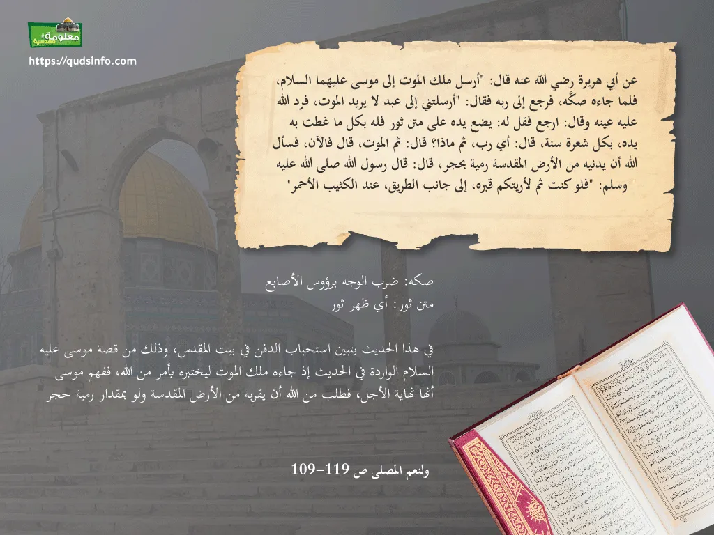 أرض الأنبياء في الحديث النبوي