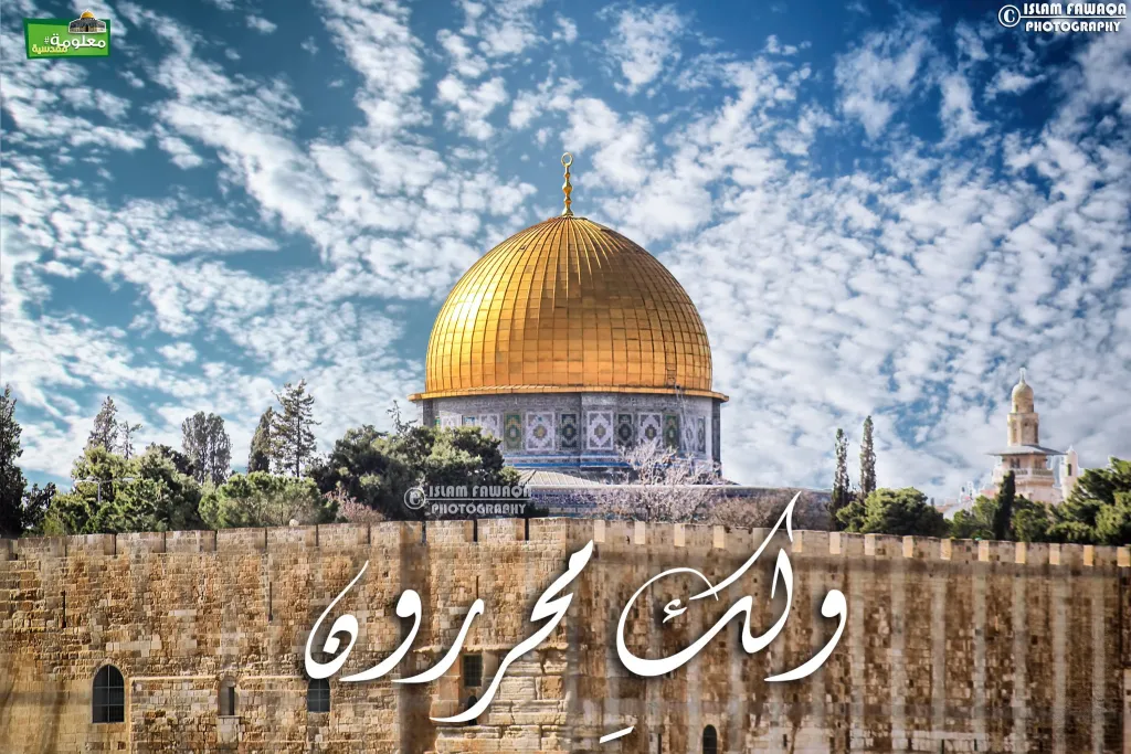 ولكِ محررون