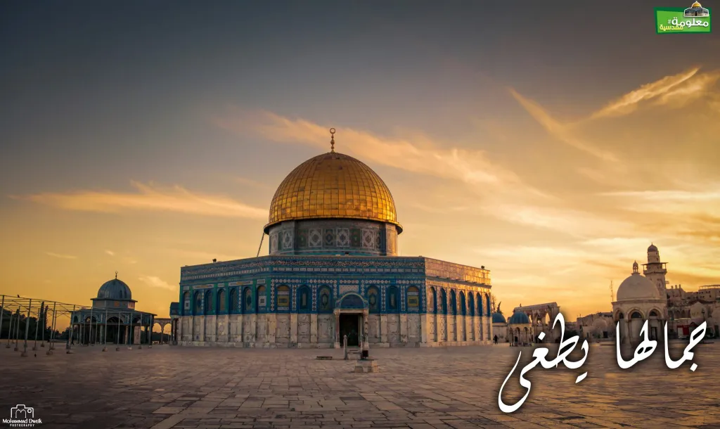 جمالها يطغى