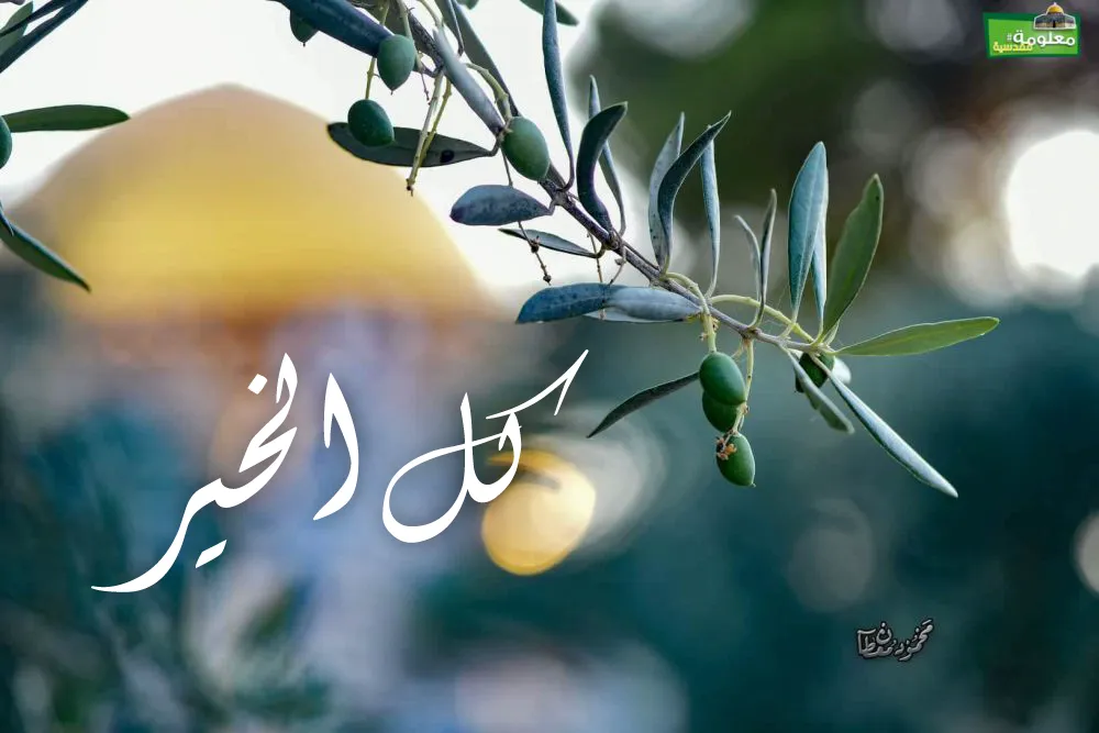 كل الخير