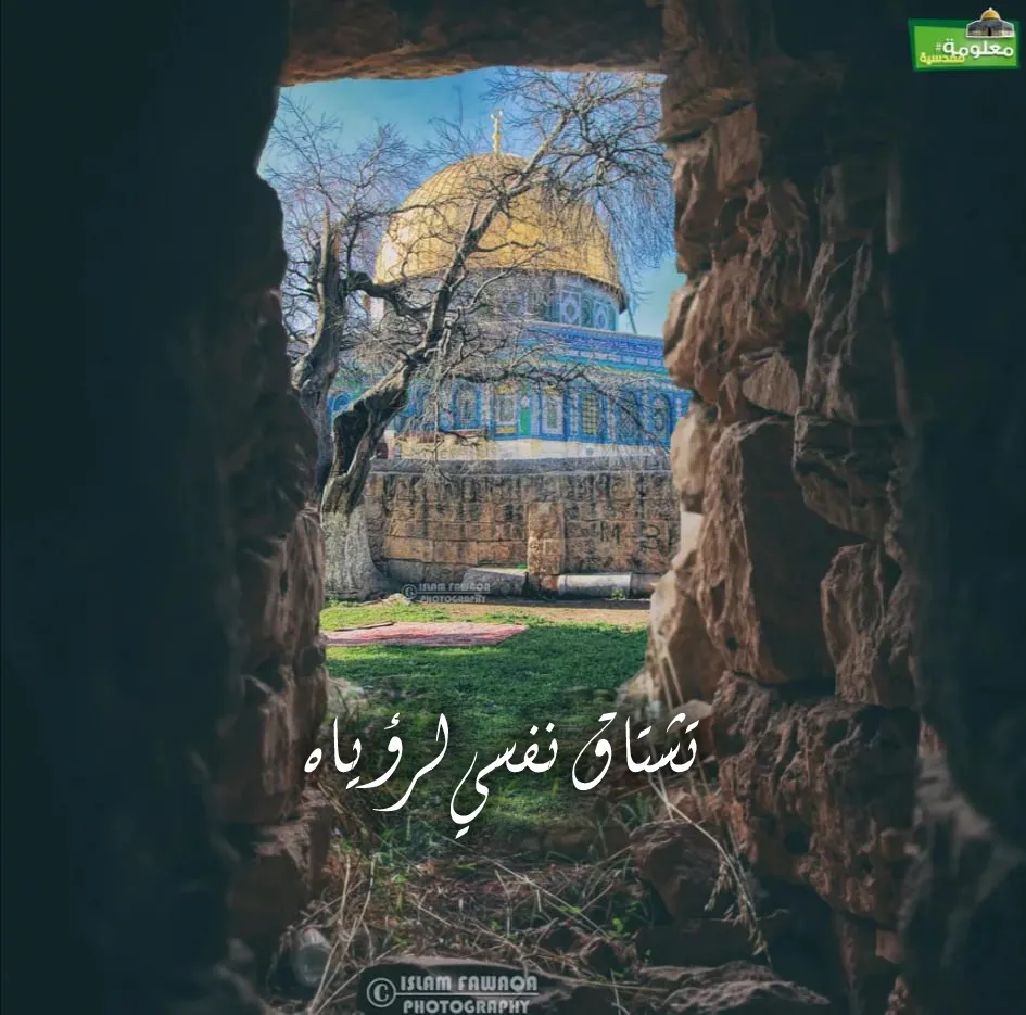 تشتاق نفسي لرؤياه
