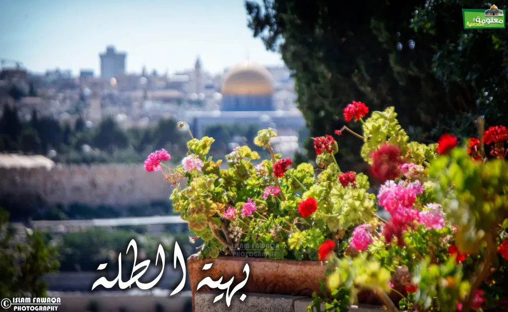 بهية الطلة