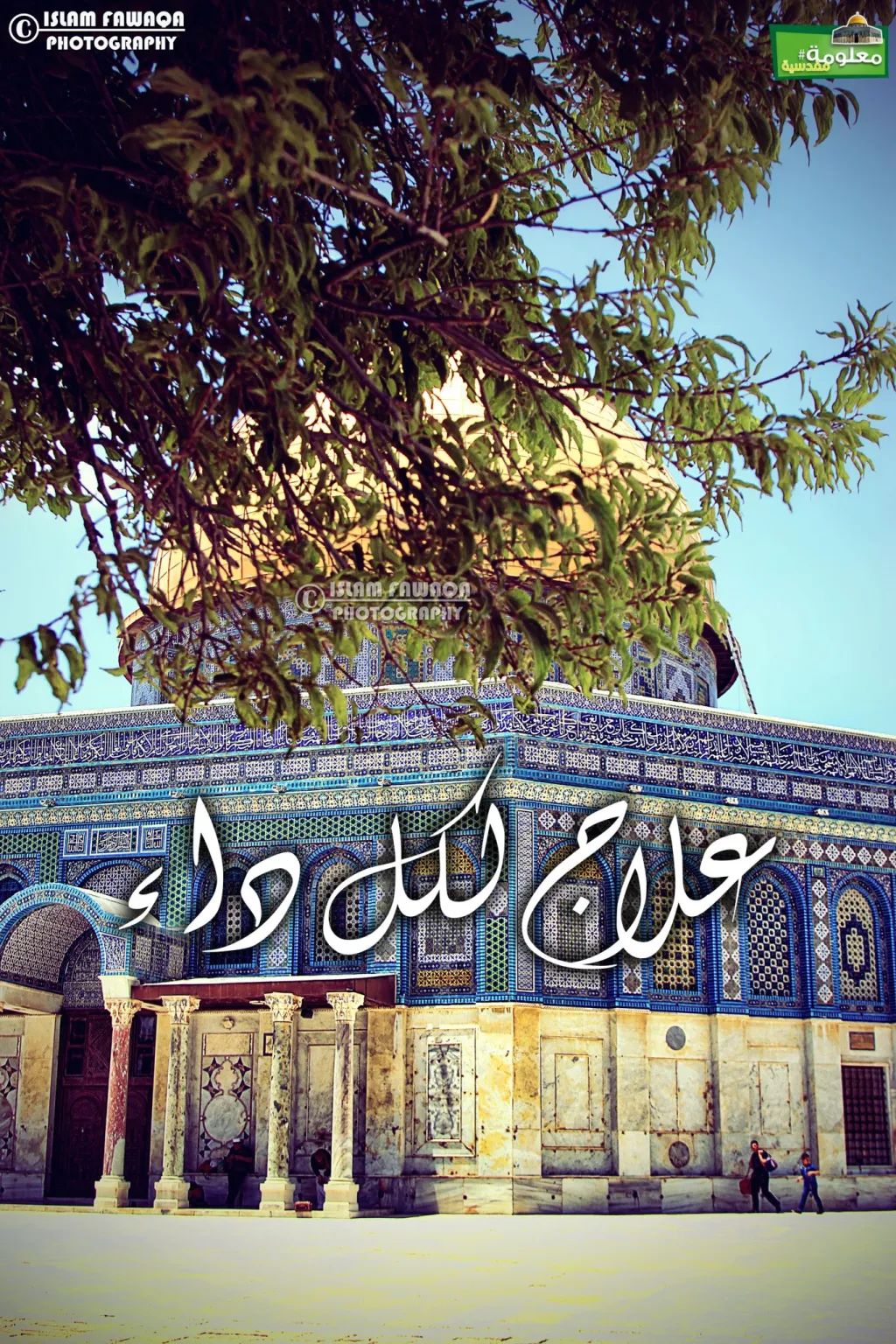 علاج لكل داء