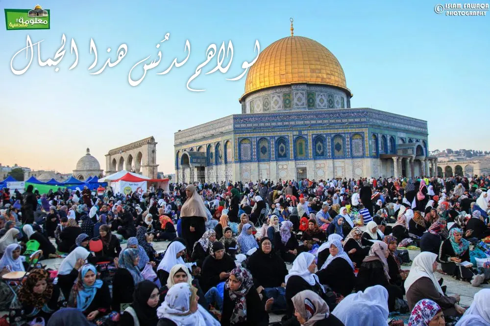 لولاهم لدُنس هذا الجمال