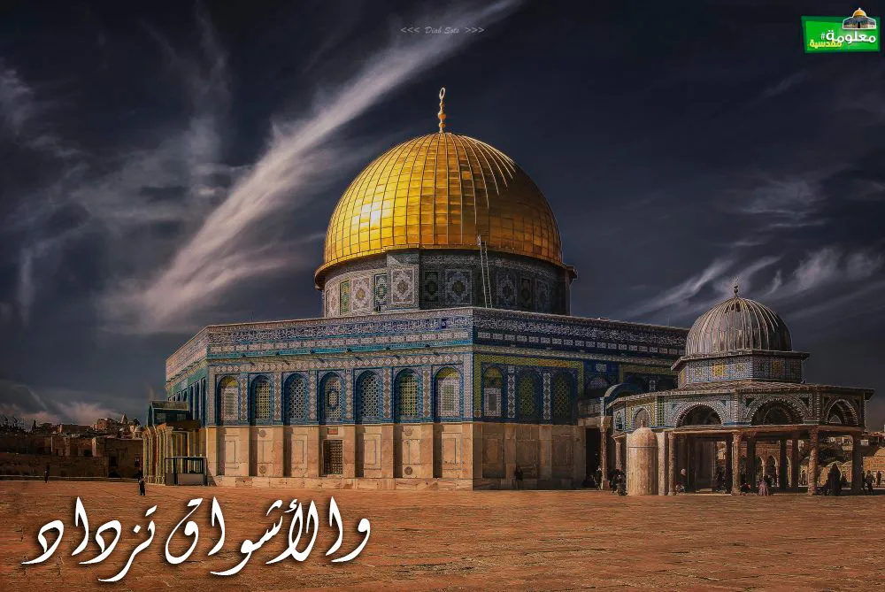 والأشواق تزداد