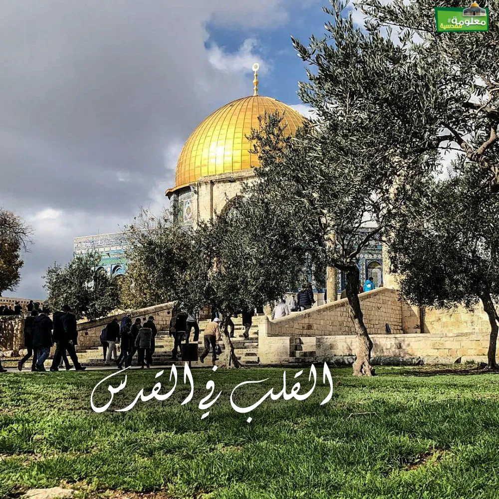 القلب في القدس